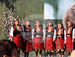 Снимка: Българско дружество за защита на птиците