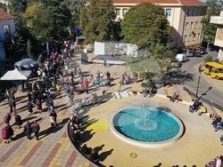 Снимка: Българско дружество за защита на птиците