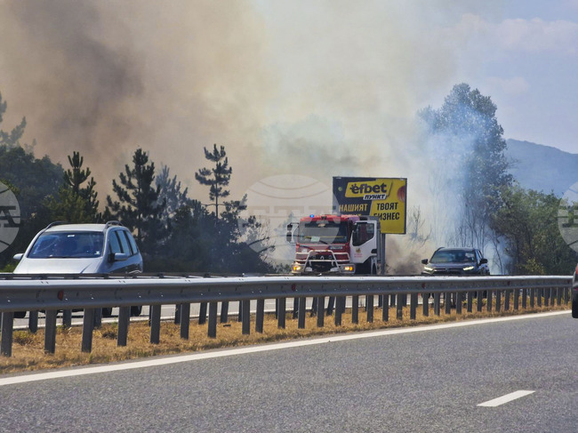 Сухи треви и храсти са се запалили при 73-тия км на магистрала „Тракия“, движението се регулира от „Пътна полиция“