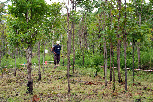 АКП: Камбоджа ще продължи да спазва Отавската конвенция и ще продължи с усилията по обезвреждането на противопехотните мини