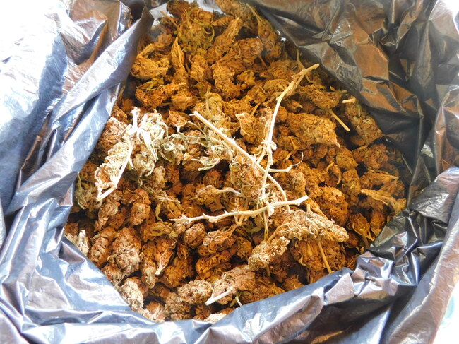 Мъж от Разград е задържан от полицията за притежание и разпространение на наркотици