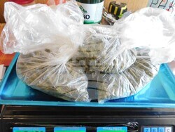 Разград - полиция - дрога