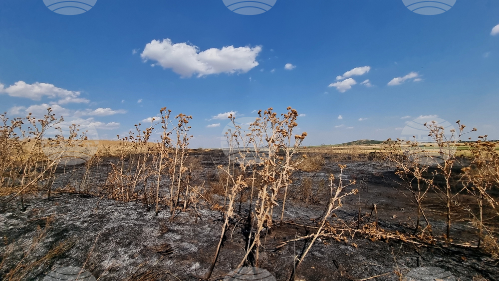 Пожар обхвана около 400 декара край Сливен