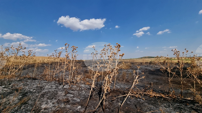 Пожарът, пламнал снощи в местността Батмиш край Сливен, не е причинил преки щети