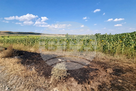 Село Скобелево - пожар