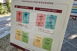 Видин - 145 години Българската статистика - информационни табла - данни