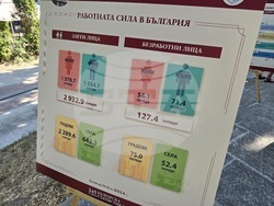 Видин - 145 години Българската статистика - информационни табла - данни