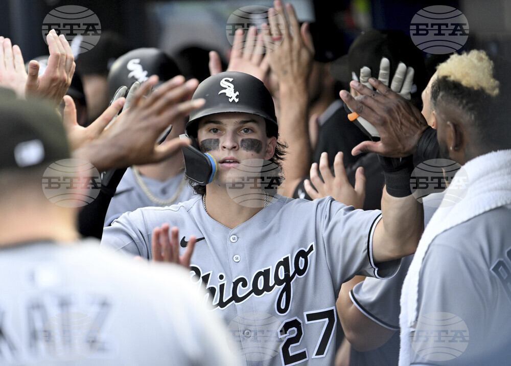 White Sox Rays Baseball