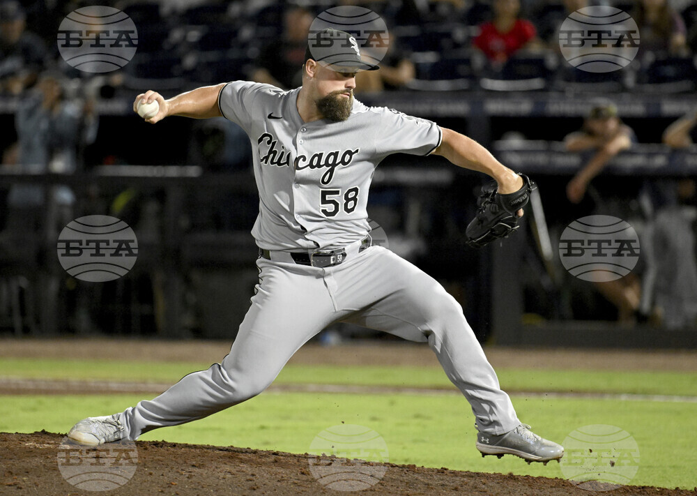 White Sox Rays Baseball