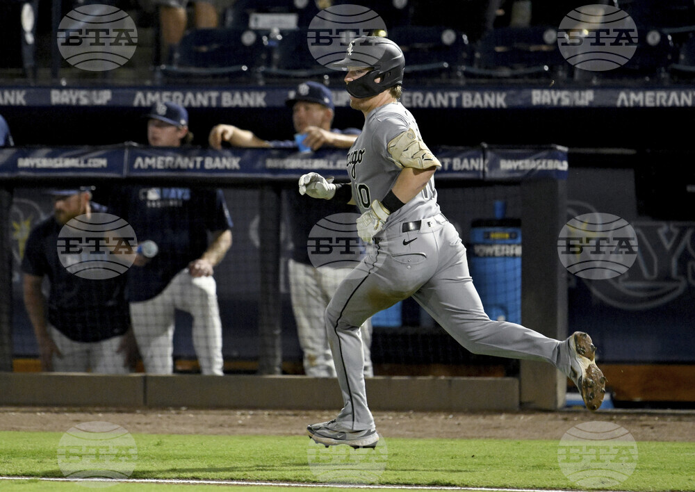 White Sox Rays Baseball