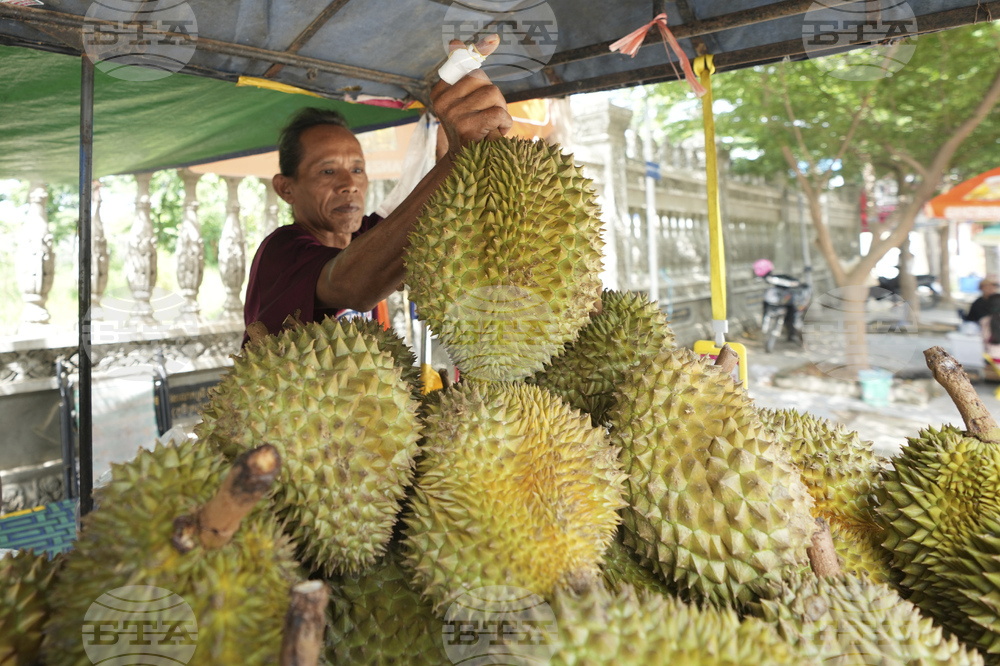 Cambodia Durian