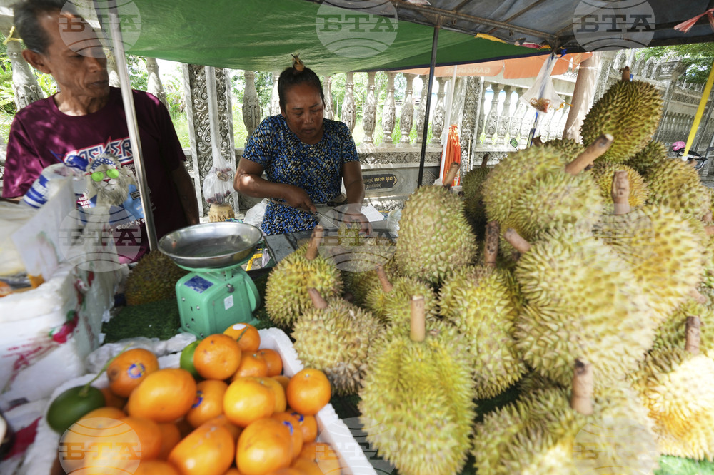 Cambodia Durian
