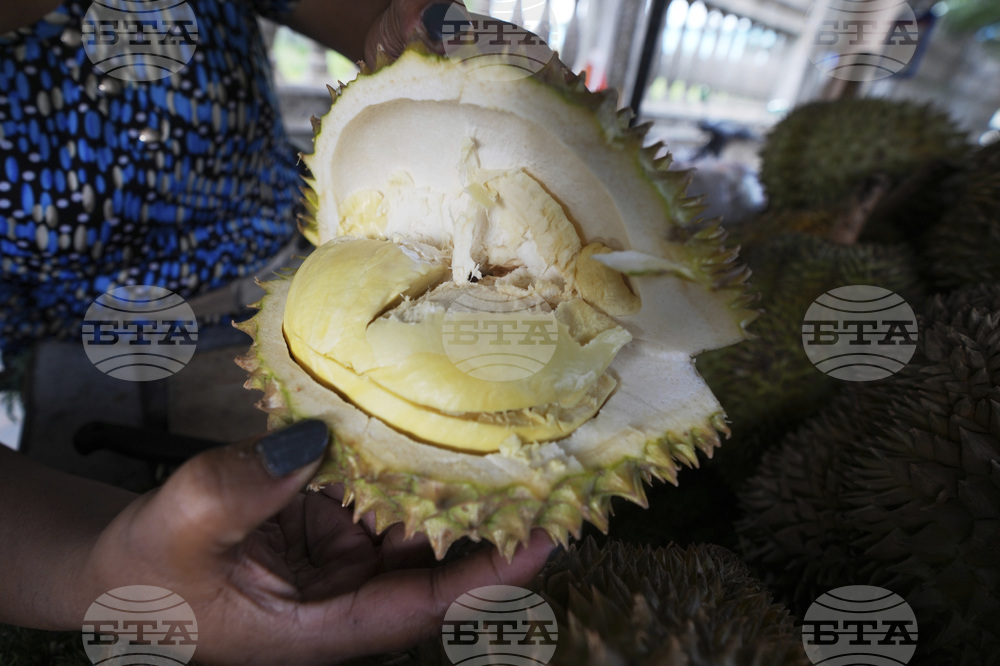 Cambodia Durian