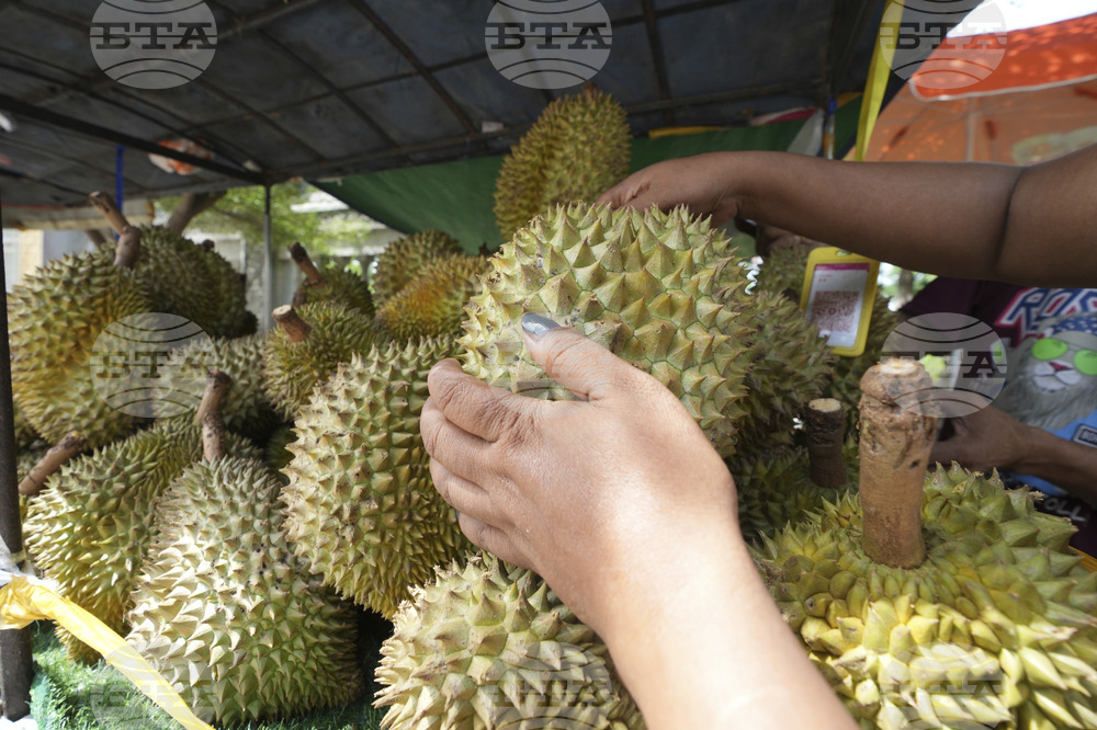 Cambodia Durian