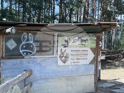 Село Ярлово - магарешка ферма