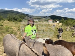 Село Ярлово - магарешка ферма