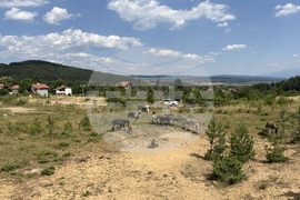 Село Ярлово - магарешка ферма