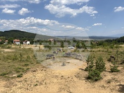 Село Ярлово - магарешка ферма