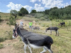 Село Ярлово - магарешка ферма