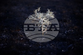 Село Безден - пожар - последици