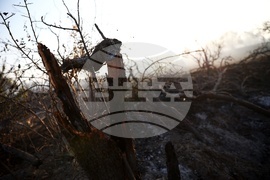 Село Безден - пожар - последици