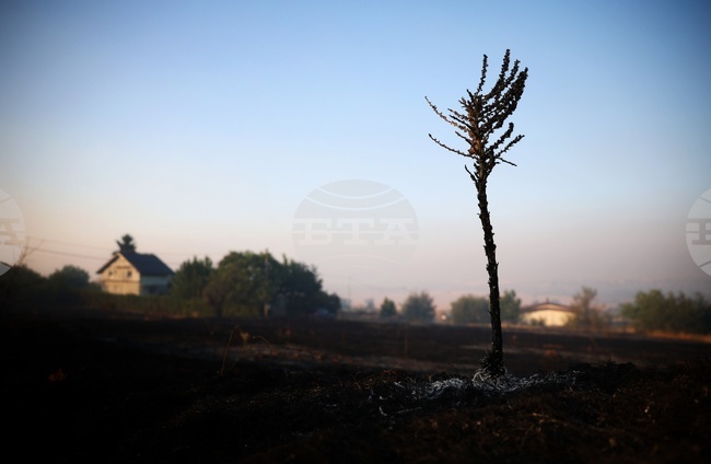 За момента няма опасност за населението заради пожара, разгорял се отново над село Опицвет в община Костинброд, каза зам.-кметът Александър Ненов 