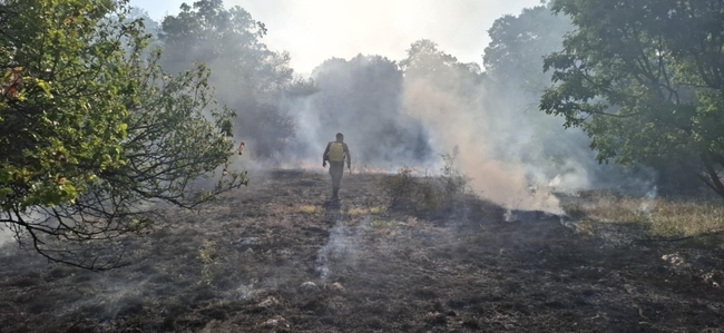 Министерство на отбраната: Военнослужещи от Сухопътните войски от Софийския гарнизон участват в гасенето на пожара, засегнал учебен център „Сливница“