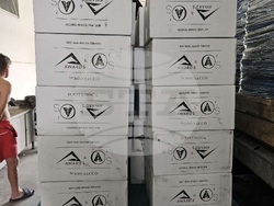 Снимка: Апелативна прокуратура – София