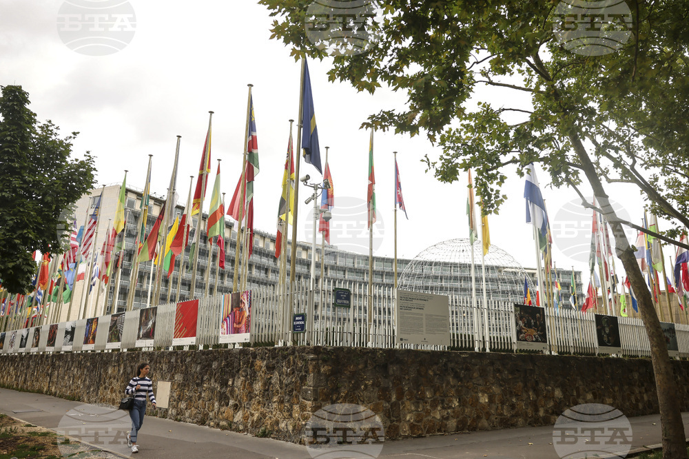 Мексиканската кандидатка за генерален директор на ЮНЕСКО се оттегли от надпреварата