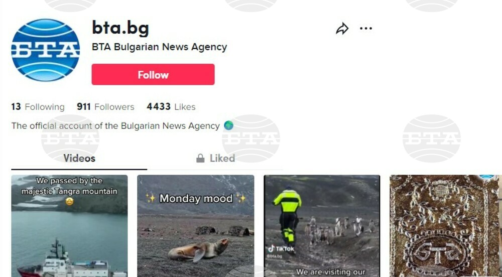 BTA Following on TikTok Rapidly Expanding