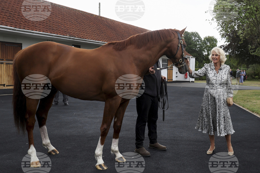 Britain Royals