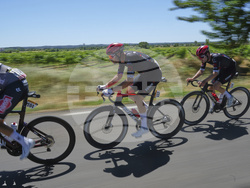 Cycling Tour de France