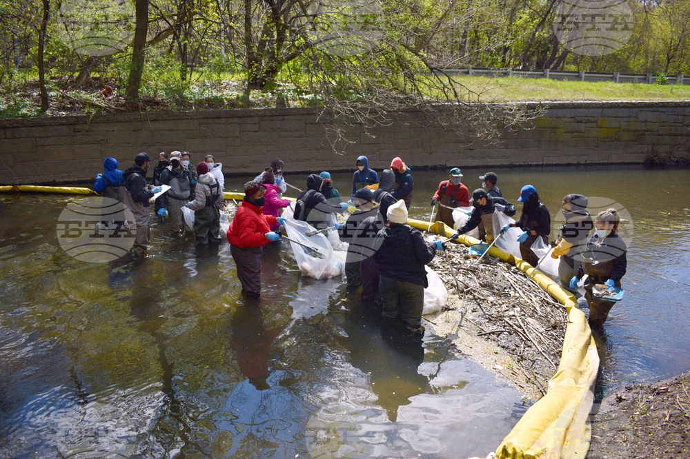 Philanthropy Public Funding Bronx