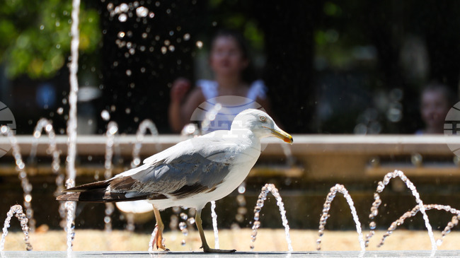 Прогноза за времето