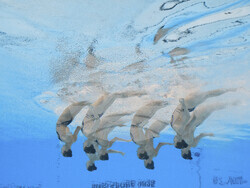 Singapore Swimming Worlds