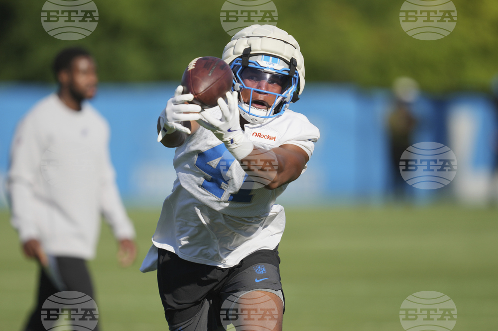 Lions Football
