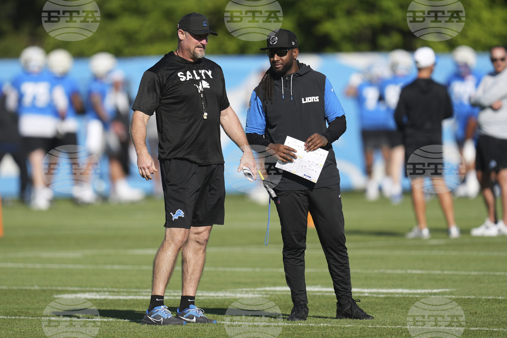 Lions Football