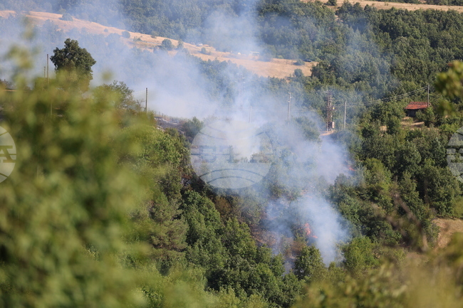 Два основни екипа продължават гасенето на пожара в Национален парк „Рила“