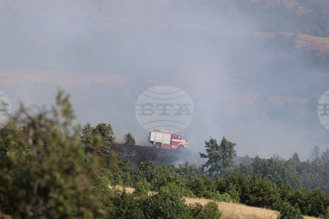 Над 50 души продължават борбата с пожара в Национален парк „Рила“