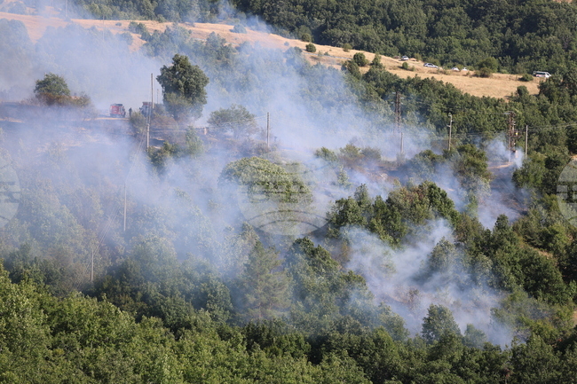 Евакуиран е един човек заради пожара в благоевградското село Марулево