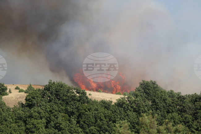 Очакват се по-интензивни и по-близо до населените места пожари, предупреди Добромир Добринов от WWF 