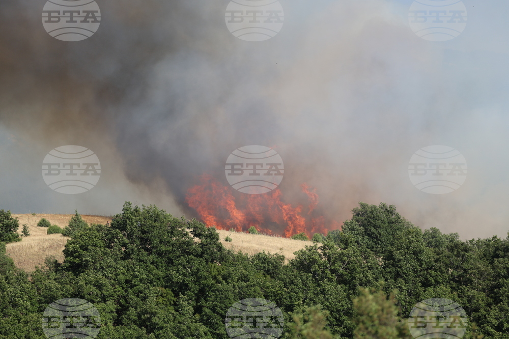 Благоевград - пожар - Марулево - Делвино
