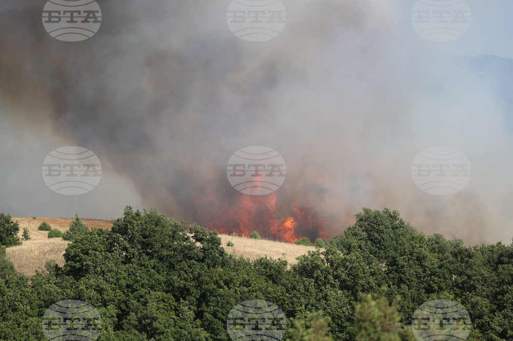 Благоевград - пожар - Марулево - Делвино
