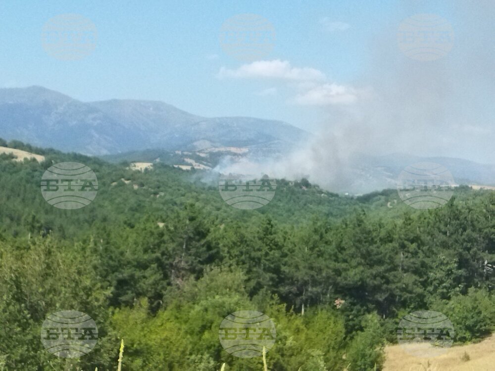Пожар гори в благоевградското село Марулево, евакуирани са хора