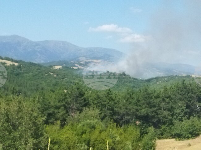 Пожар гори в благоевградското село Марулево, евакуирани са хора