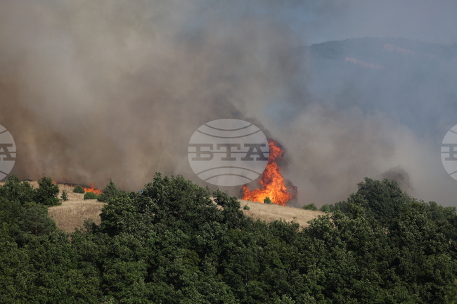 Пожарът в благоевградското село Марулево е локализиран, каза за БТА комисар Валентин Василев