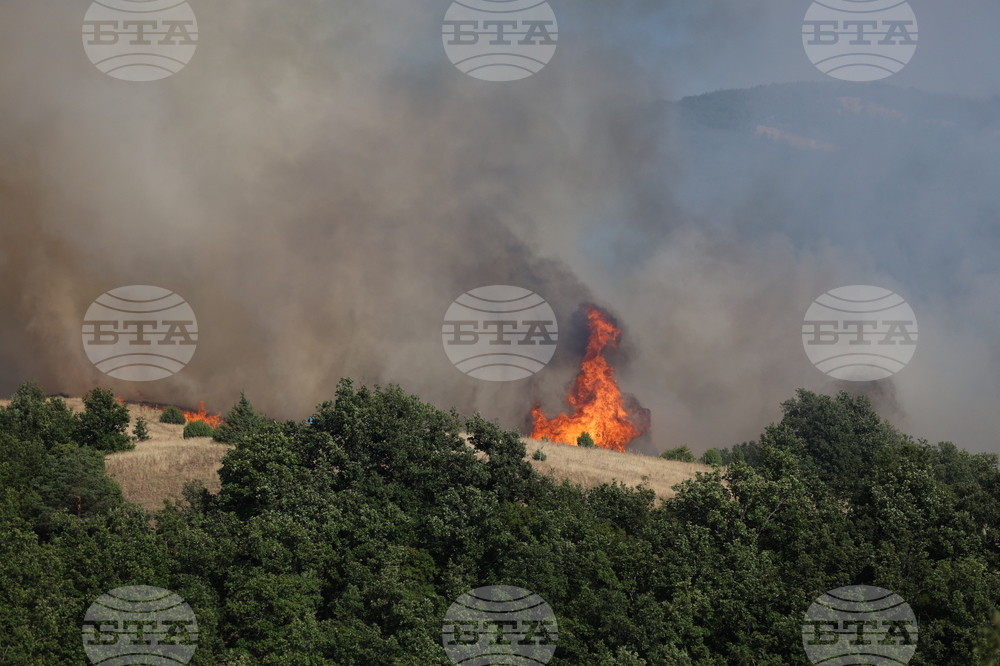 Благоевград - пожар - Марулево - Делвино
