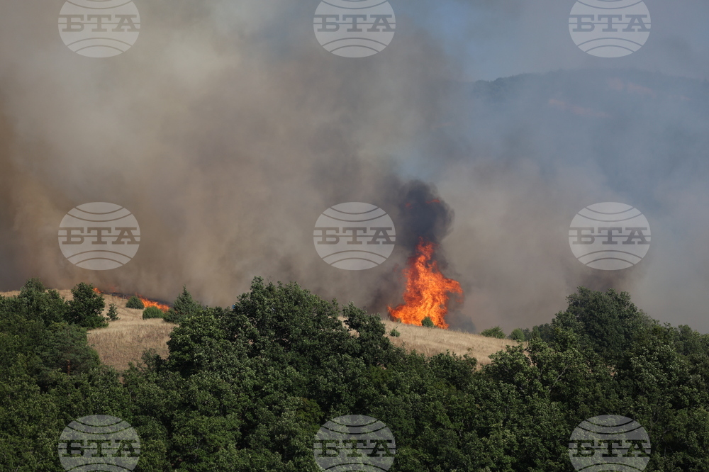 Благоевград - пожар - Марулево - Делвино