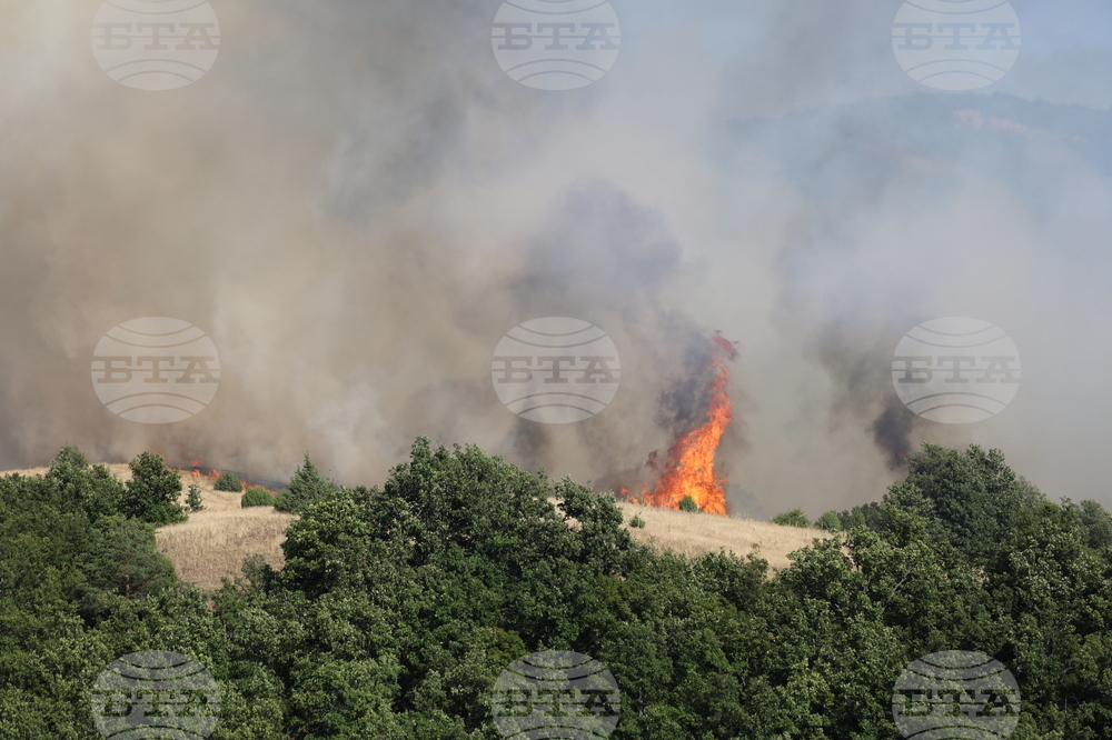 Голям пожар бушува в близост до град Александруполис в Северна Гърция 