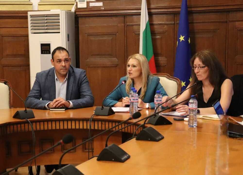 Зам.-министър Василева: С бюджет от 5 млн. евро предстои да бъде отворен прием за предотвратяване на щети от горски пожари и природни бедствия